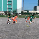 【詳細決定】JFA第46回全日本U－１２ サッカー選手権大会東京都第8ブロック予選