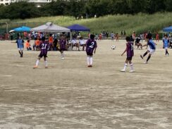 80AF069B-FC5D-4F74-858E-26B7293D3FEC