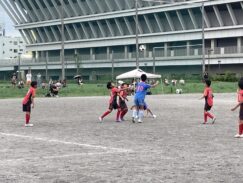 AE642A93-D525-49BE-8F9C-AB6BCF35C926